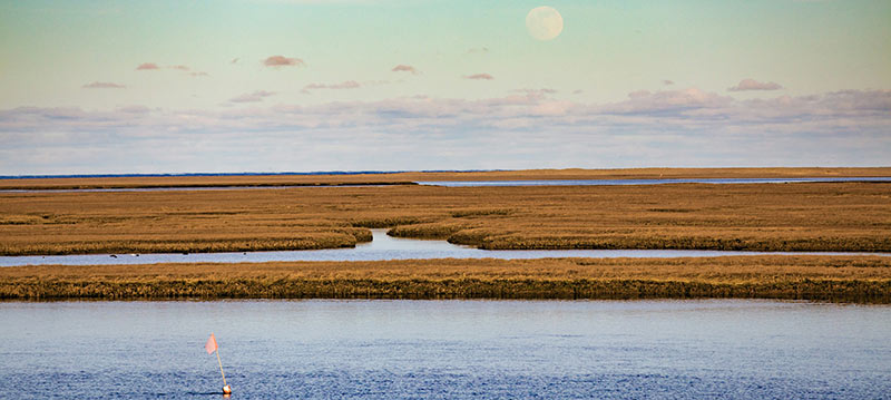 cape cod web design