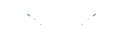 Arran P Landscaping logo website design